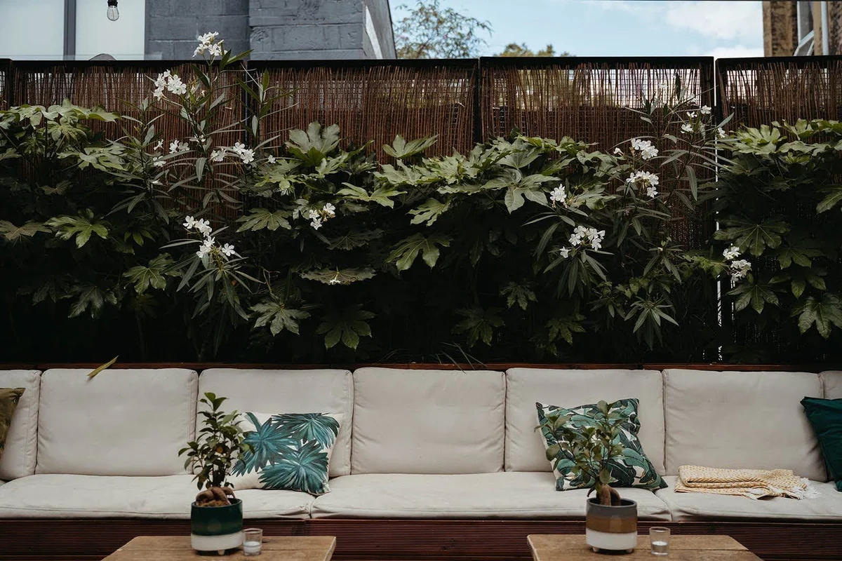 The Hackney's courtyard with its glazed tiles, bench and greenery